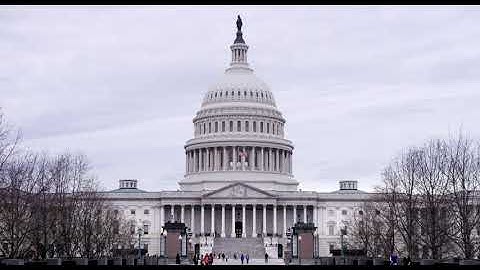 Palladio| Film evento | Trailer Ufficiale (30")