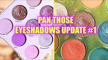 Pan Those Eyeshadows Update #1