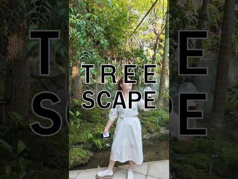 TREE SCAPE สะเมิง หางดง #เชียงใหม่ #เที่ยวเชียงใหม่ #travel #เชียงใหม่แชร์ #cafe #ที่พักเชียงใหม่