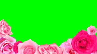 #footage #green #Roses#рози#розы#