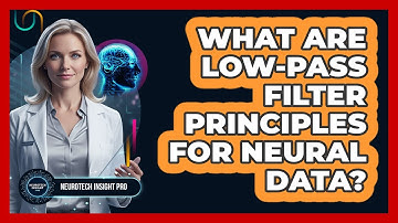 What Are Low-Pass Filter Principles For Neural Data?
