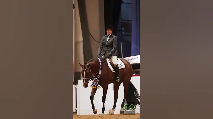Congress 2025 - L1 Amateur Select Hunter Under Saddle