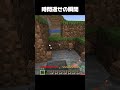 こんな経験ありますか?Have you ever had this experience? #minecraft #マイクラ#shorts
