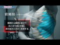 【筋トレ】前鋸筋の鍛え方　全て見せます