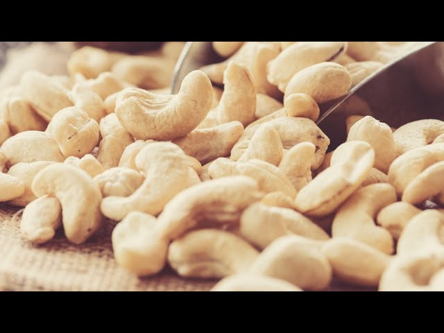 Why You Should Think Twice About Eating Cashews class=