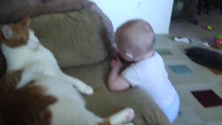 Cat Swatting at baby.....hilarious