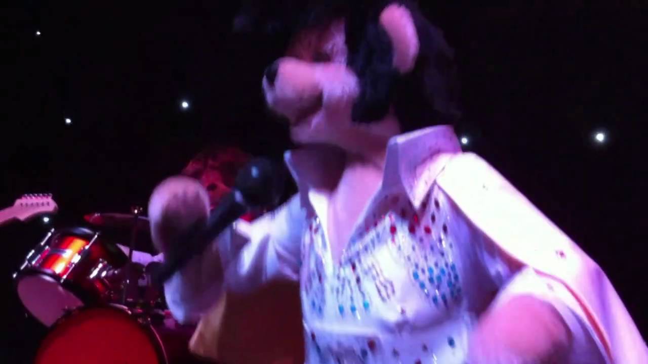 Teddy Bear World Hawaii - Elvis Show [Full version] at Teddy Bear Theme Park, Waikiki