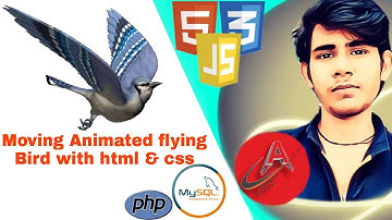 How to Move Animated Flying Bird With the Help Of Html & Css