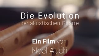 Die Evolution der akustischen Gitarre (Film)