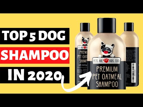 5-best-dog-shampoo-in-2020-|-problem-solution-about-itchy-skin-problem,-dry-skin,-allergies-problem.