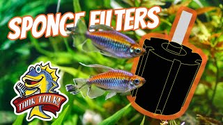 Aquarium Filters Decoded, Sponge Filters