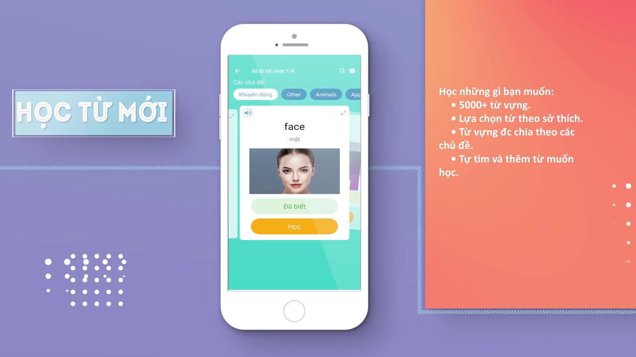 Phần mềm học từ vựng tiếng anh miễn phí | Ai English: Ứng Dụng Học Từ Vựng Tiếng Anh Miễn Phí
