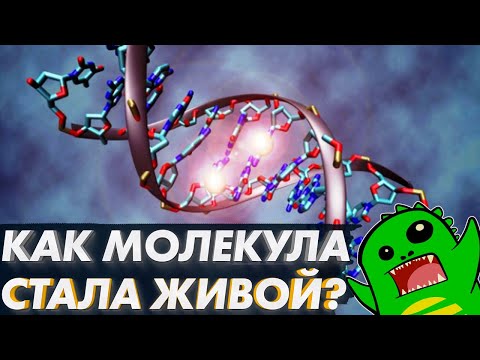 Как молекула стала ЖИВОЙ и почему надо учить химию, а не Библию | Эволюция | Разумный замысел