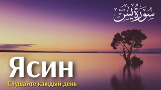 СУРА ЯСИН ИСПОЛНЯЕТ ЖЕЛАНИЯ