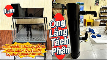 Hướng Dẫn Làm Lọc Giấu Bơm Hồ Cá Chép Sư Tử + Phi Tần - Lọc 1 Ống Lắng + Lọc Tràn Trên.Hồ A Long VT.