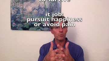 Understanding The 3 Brains Theory: How Your Head, Heart, & Gut Work Together | Gut-Brain Connection