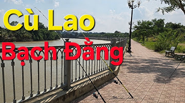 Câu  Cá sông  Bé về Cù lao Bạch Đằng  một  ngày  Trãi nghiệm  tuyệt  vời......