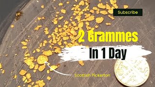 2 Grammes of Scottish Gold in 1 Day
