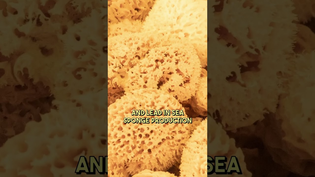 10 Things That You Didn't Know About Greece 