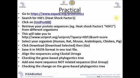IBT_2016  Building a Multiple Sequence Alignment :Practical 1