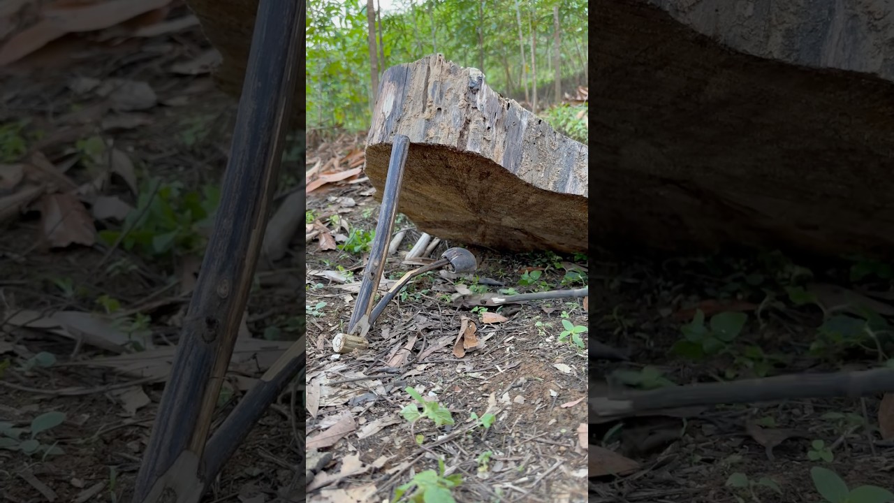 Make a simple animal trap 