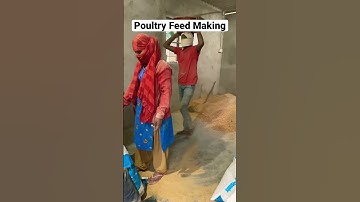 How to Make Homemade Poultry Feed for Healthier Chickens