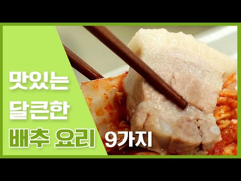 배추김치부터 달큰한 <strong>배추요리</strong> 까지! [만개의레시피]