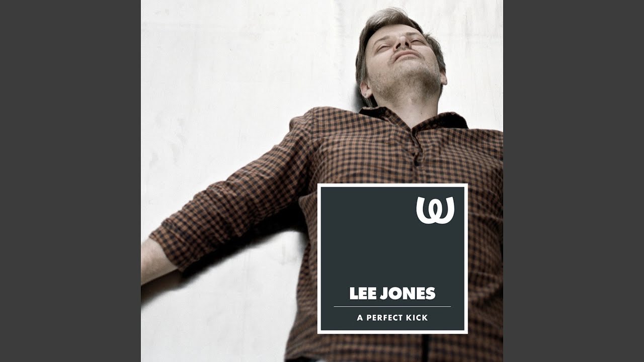 A Perfect Kick (Lee Jones Remix)