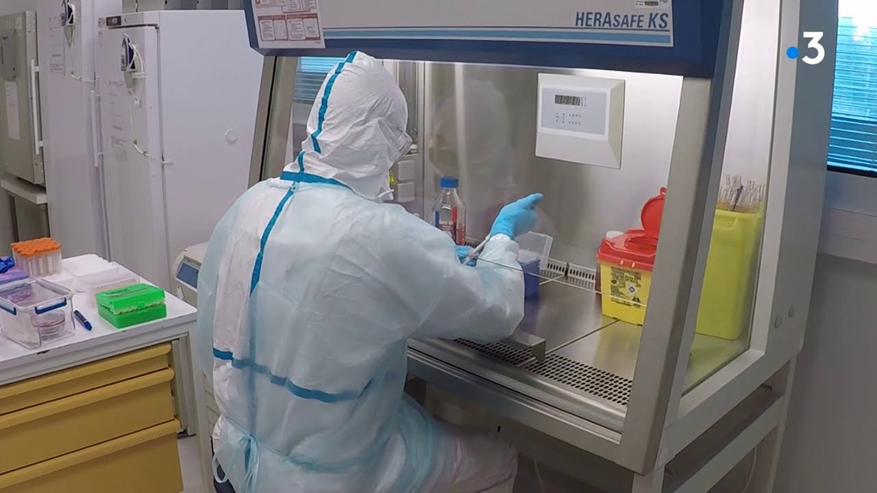 Rencontre avec le coronavirus au laboratoire P3 du CHU de Limoges