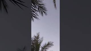 Na Umaga Video