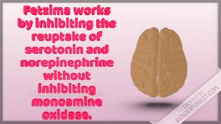 Group Medication Assignment (Thursday):  Fetzima (levomilnacipran)