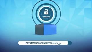 IBM Puredata for analytics Mini-Appliance