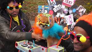NYC's Cutest Event: The Tompkins Square Halloween Dog Parade
