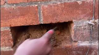 🔎 Cavity Wall Debris Causing Internal Damp? Here’s How to Check It!