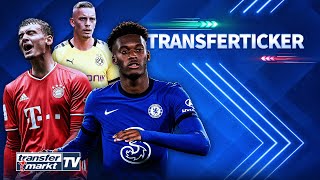 Hudson-Odoi zu Bayern / Cuisance-Deal mit Leeds geplatzt / Köln leiht Wolf | TRANSFERMARKT