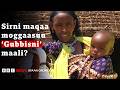 Gubbisni (maqaa moggaasuun) mucaa dhiiraa hangafaa qofaaf qophaa’u maalidha? | BBC News Afaan Oromoo