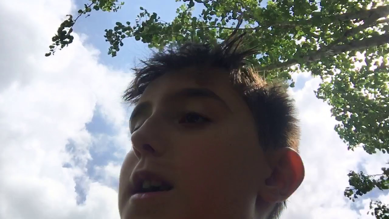 Trying to get my dog back YouTube