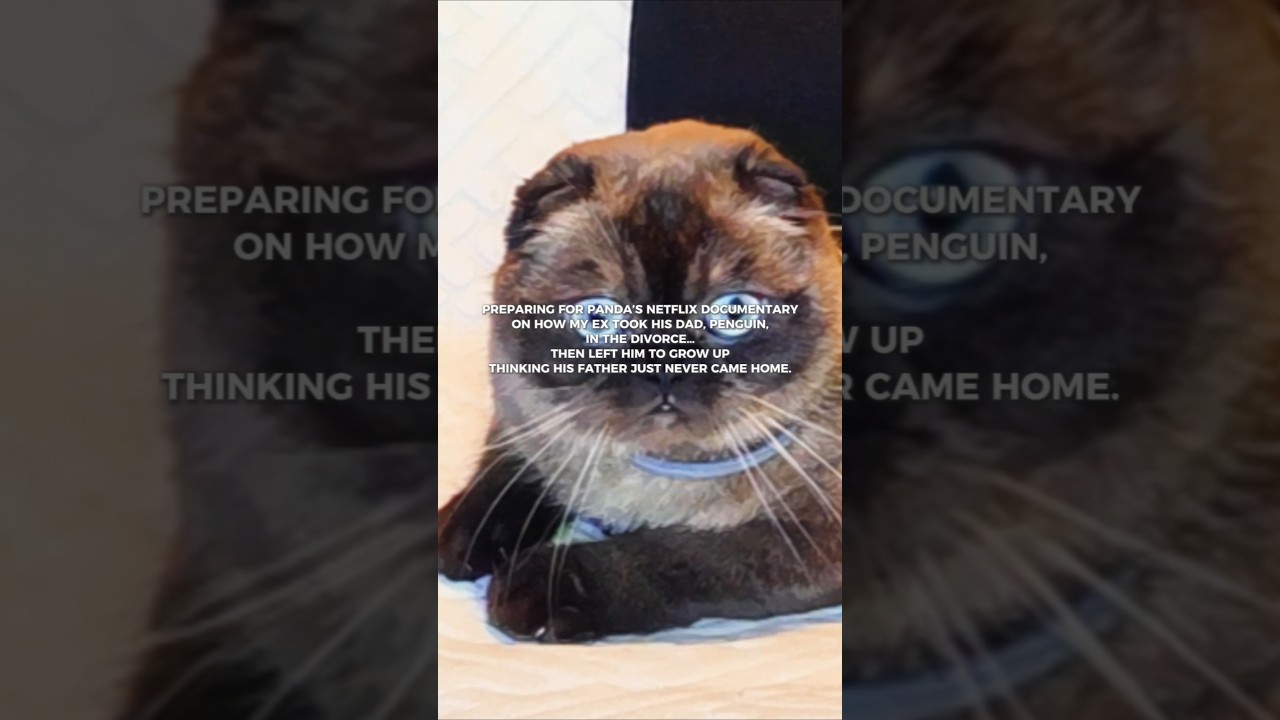 Panda's Netflix Doccumentary #takingback2007 #melancholy