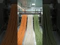 Ever wondered how beautiful Tricolor Noodles are made? 😱 Making inside a modern food factory 🏭🇮🇳