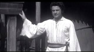 ION DOLĂNESCU - Om aș fi de n-ar fi gura (1982)