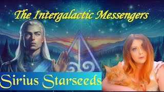 Sirius Starseed Secrets 🌟🐬 : DNA Of The Divine 🌌