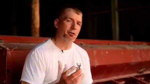 Food Plot Library: Annual and Perennial Blends