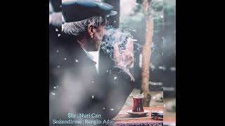 Rüzgâra Bıraktınmı Hayallerinişiir Nuri Can, Rengîn Adar