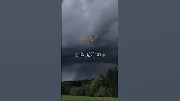 القارئ الشيخ أنس الميمان 🌸🌹