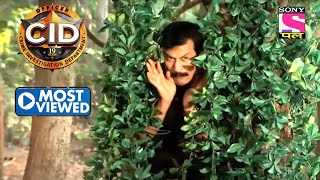 A Search For Tiger And Cheetah In The Jungle | CID | Most Viewed