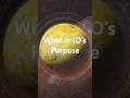 What is the purpose of IO in Destiny 2 #destiny #destiny2 #finalshape
