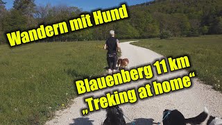 Wandern mit Hund - Blauenberg - Trekking at Home by cocoshunter99 98 views 2 years ago 4 minutes