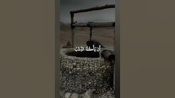 #سيد_سعيد #قال إني ليحزنني أن تذهبوا به وأخاف أن يأكله الذئب/سورة يوسف