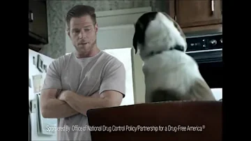 If "Anti-Drug" Commercials were Real Life - Commercial Classics