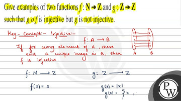Give examples of two functions \( f: N \rightarrow Z \) and \( g: Z...